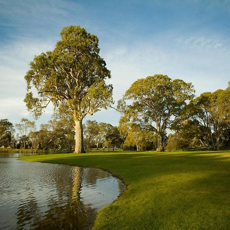 Serafino Mclaren Vale Eksteriør bilde