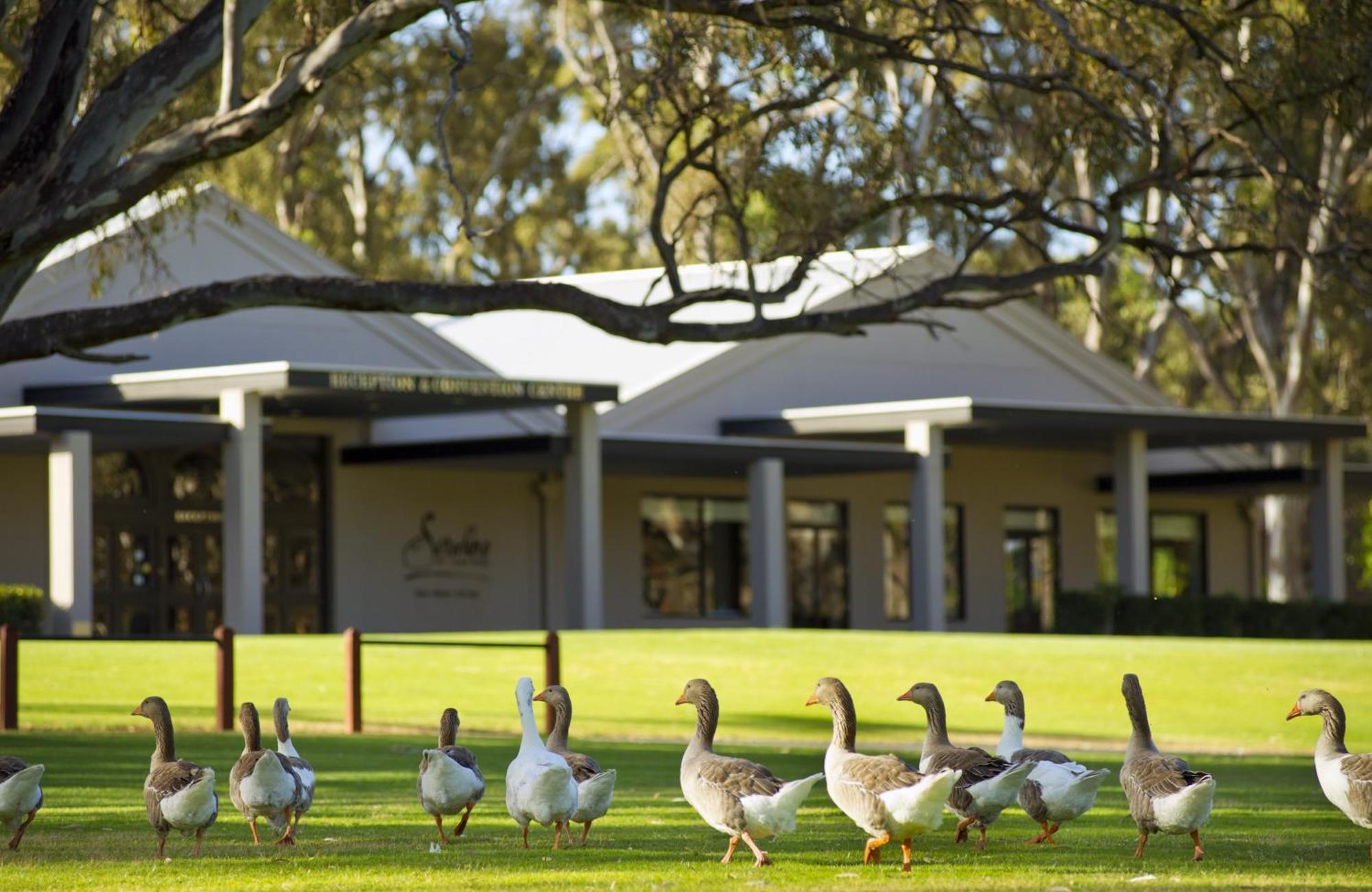 Serafino Mclaren Vale Eksteriør bilde