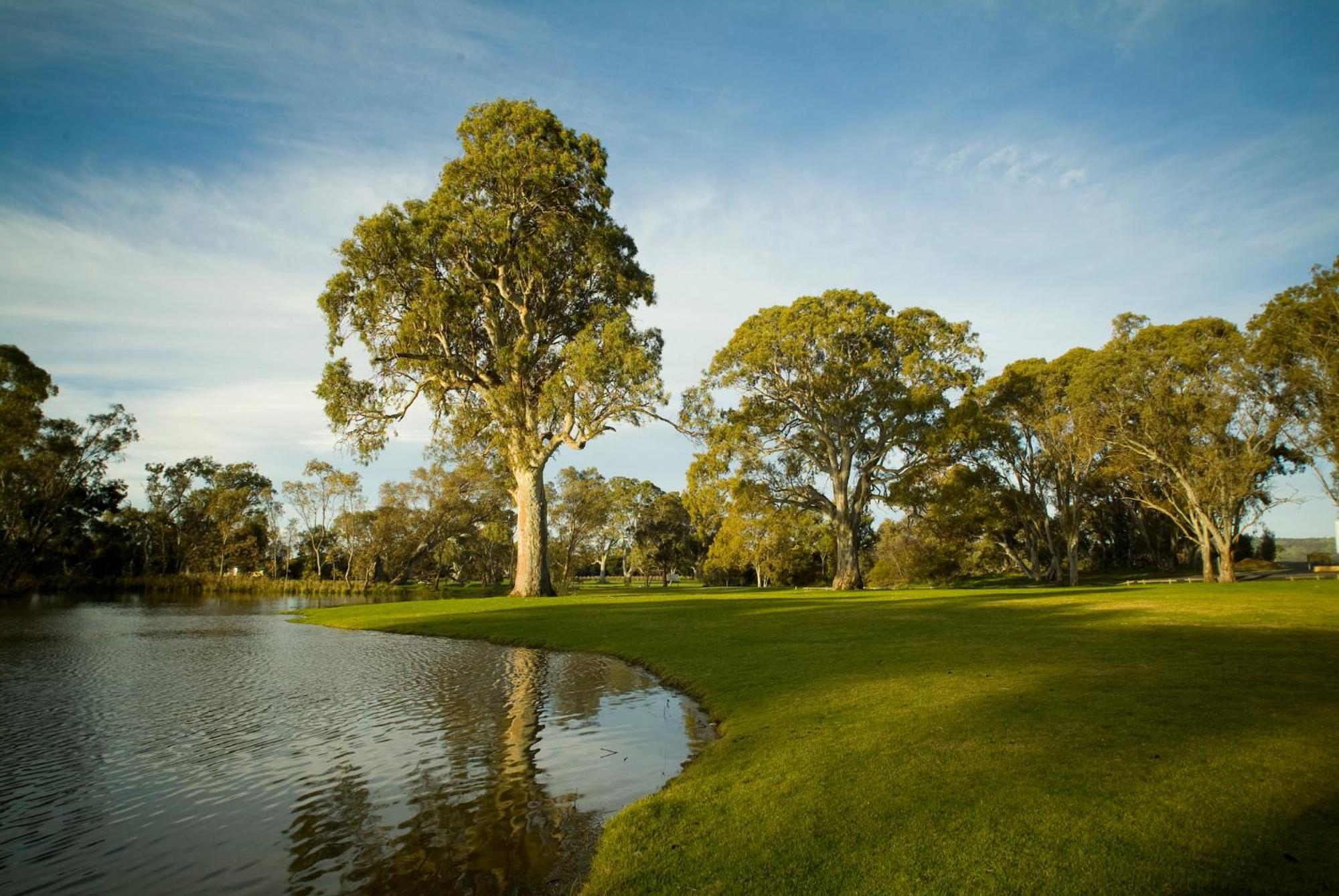 Serafino Mclaren Vale Eksteriør bilde